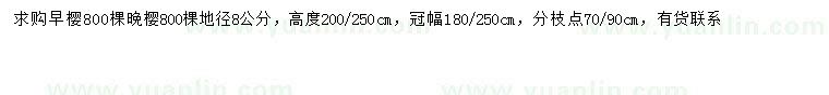 求購地徑8公分早櫻、晚櫻