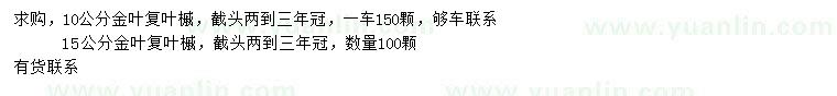 求購10、15公分金葉復(fù)葉槭