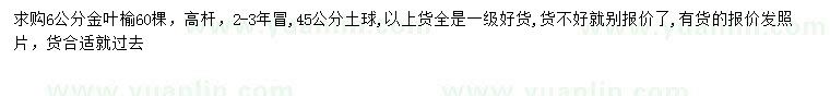 求購6公分高桿金葉榆