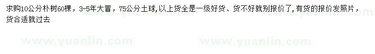 求購10公分樸樹