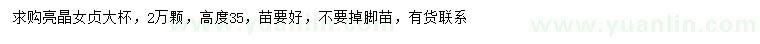 求購(gòu)高35公分亮晶女貞