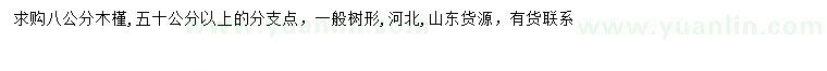 求購8公分木槿
