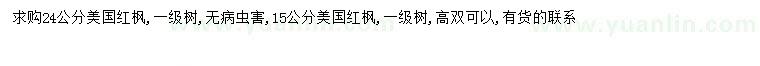 求購15、24公分美國紅楓