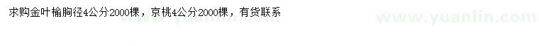 求購胸徑4公分金葉榆、京桃