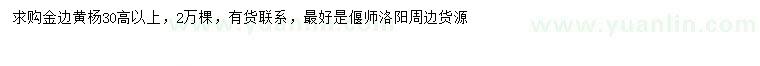 求購高30公分以上金邊黃楊