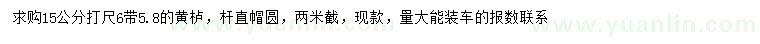 求購15量5.8-6公分黃櫨