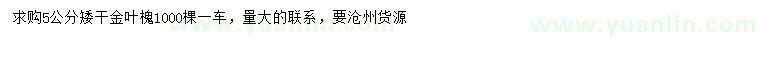 求購5公分金葉槐