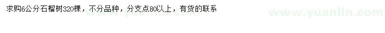 求購(gòu)6公分石榴