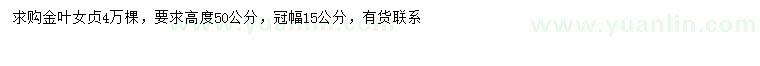 求購高50公分金葉女貞