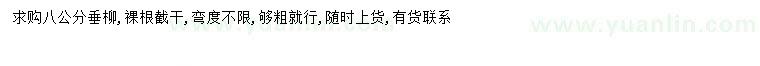 求購8公分垂柳