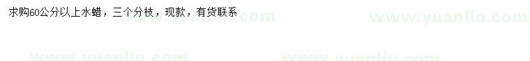 求購60公分以上水蠟