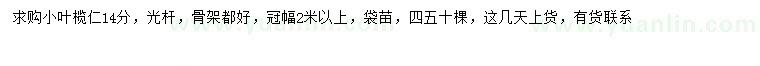 求購14公分小葉欖仁