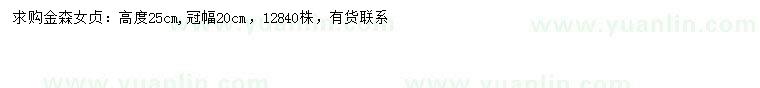 求購高25公分金森女貞