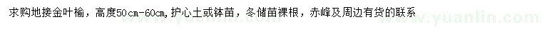 求購高50-60公分金葉榆