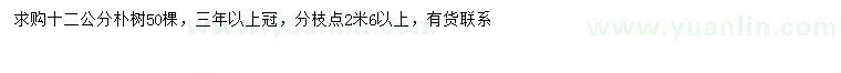 求購12公分樸樹