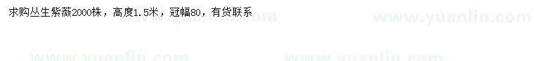 求購冠幅80公分叢生紫薇