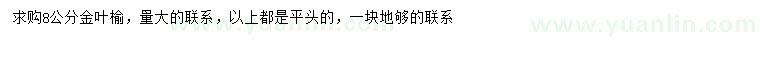 求購(gòu)8公分金葉榆