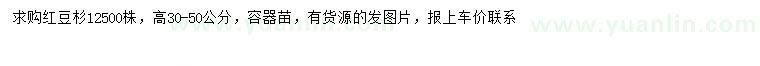 求購高30-50公分紅豆杉