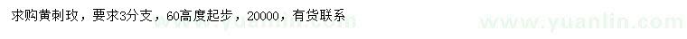 求購高60公分以上黃刺玫