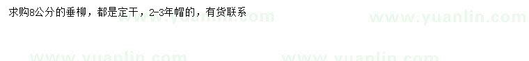 求購(gòu)8公分垂柳