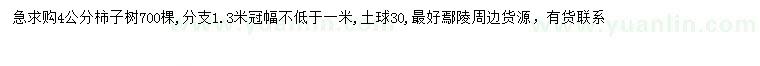 求購4公分柿子樹