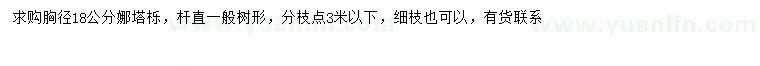 求購(gòu)胸徑18公分娜塔櫟