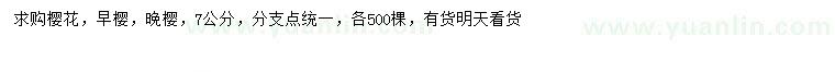 求購(gòu)7公分櫻花