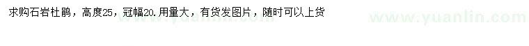 求購高25公分石巖杜鵑