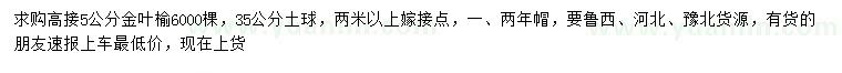 求購5公分高接金葉榆