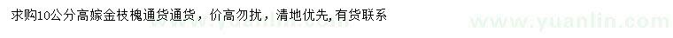 求購10公分高嫁金枝槐