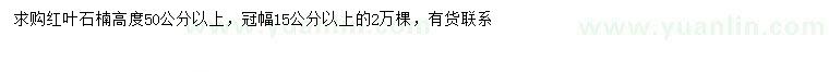 求購高50公分以上紅葉石楠