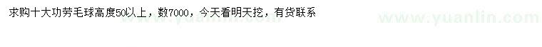 求購高50公分以上十大功勞球