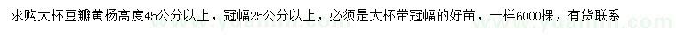 求購高45公分以上豆瓣黃楊