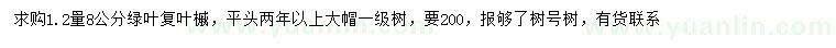 求購(gòu)1.2米量8公分綠葉復(fù)葉槭
