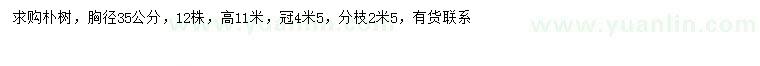 求購胸徑35公分樸樹