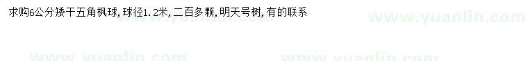 求購(gòu)6公分五角楓球