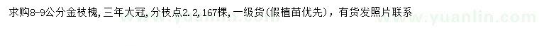 求購(gòu)8-9公分金枝槐