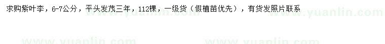 求購6-7公分紫葉李
