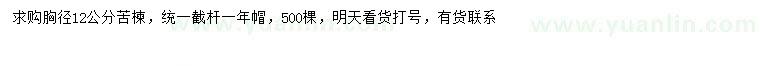 求購(gòu)胸徑12公分苦楝