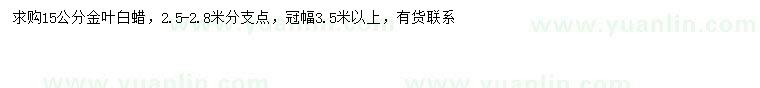 求購15公分金葉白蠟