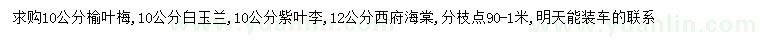 求購(gòu)榆葉梅、白玉蘭、紫葉李等