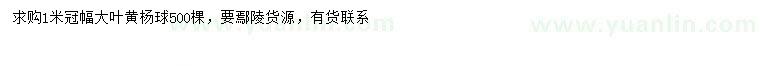求購(gòu)冠幅1米大葉黃楊球