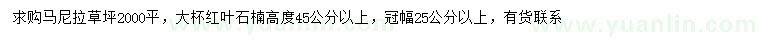 求購馬尼拉、高45公分以上紅葉石楠