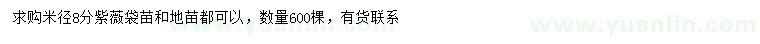 求購米徑8分紫薇