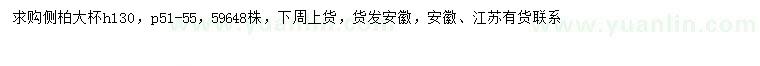 求購高130公分側(cè)柏