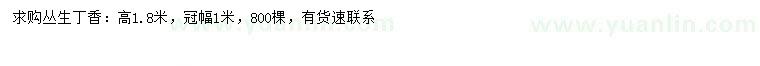 求購冠幅1米叢生丁香