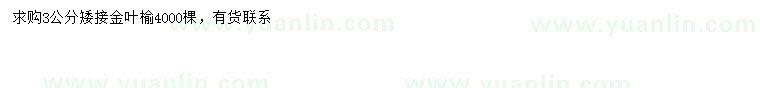 求購(gòu)3公分金葉榆