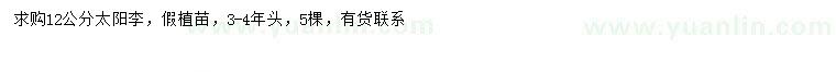 求購12公分太陽李