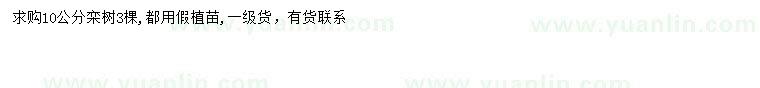 求購10公分欒樹