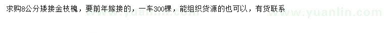 求購8公分金枝槐